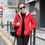 Warm Quilted Zip-Up Jacket with Fur Collar-1