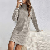 Turtleneck Slim Mini Dress
